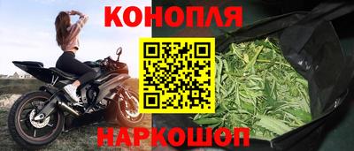 PSILOCYBIN Бузулук