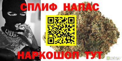 ешки Будённовск